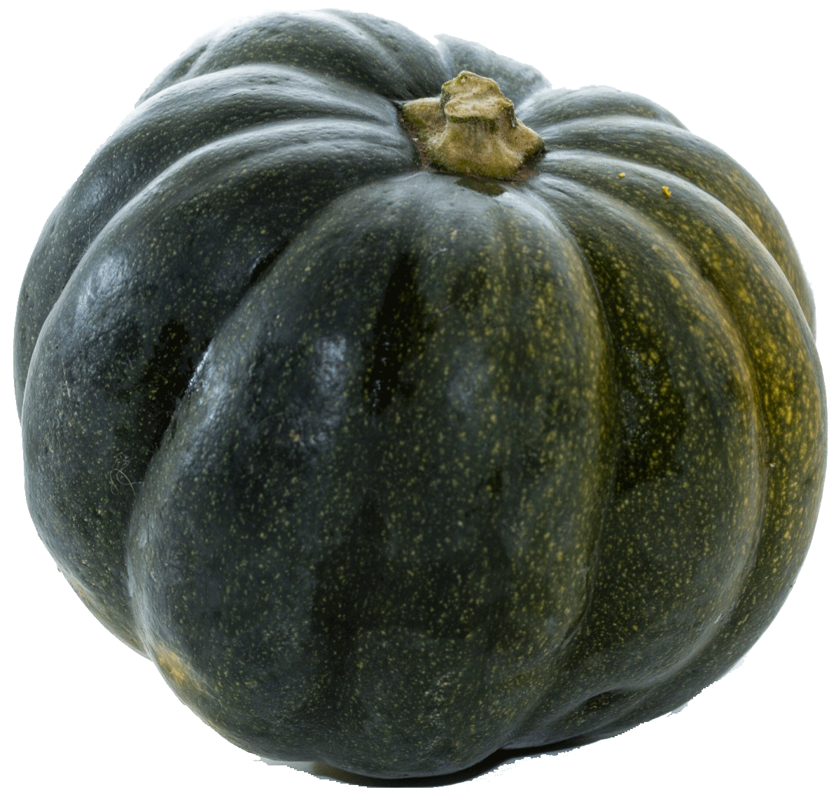 Heras  acorn squash per pound Full-Size Picture